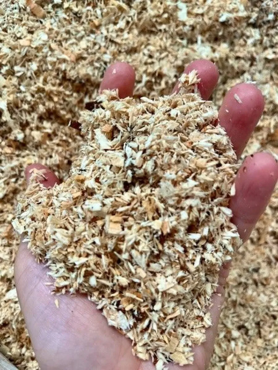 Sawdust/Bedding - Image 2