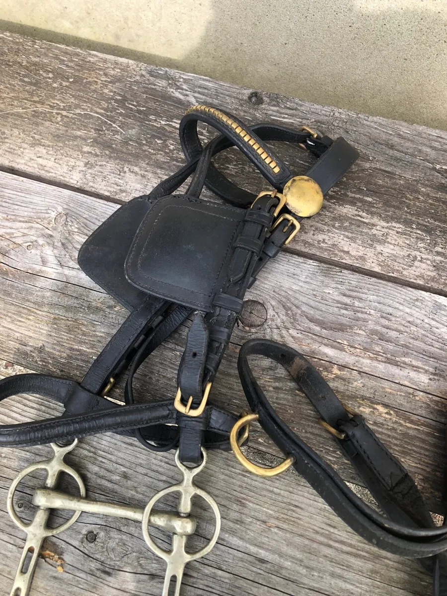 harness small pony - Image 4