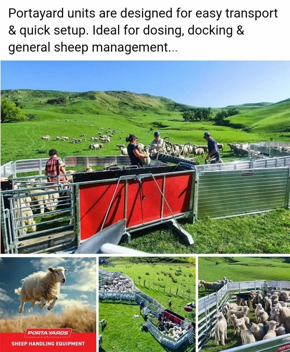 Portayards Yards For Sheep - Image 2