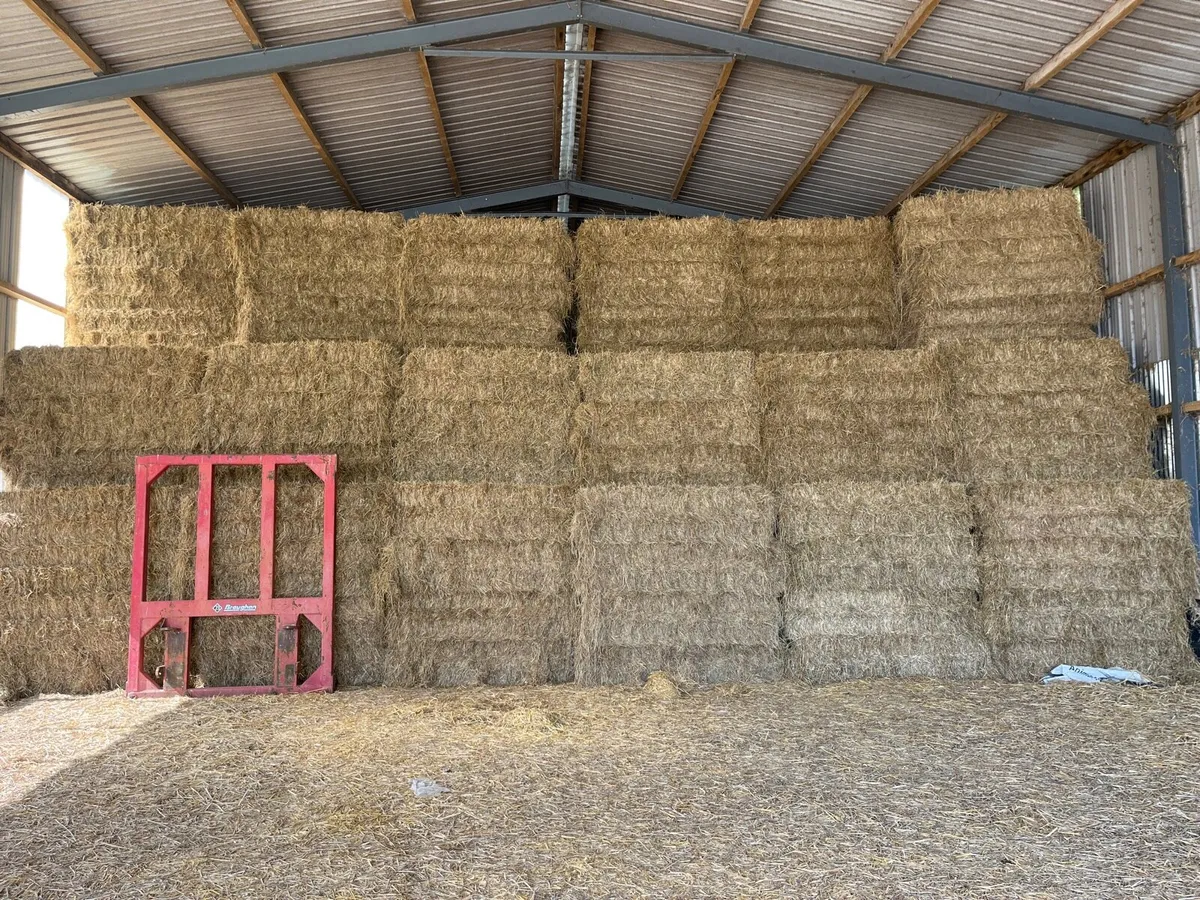 **Cattle hay 2024** - Image 1