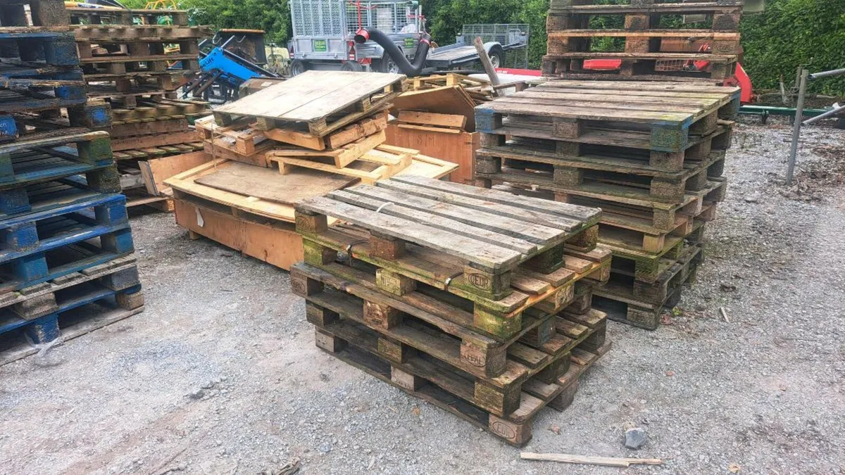 Free pallets and timber - Image 1