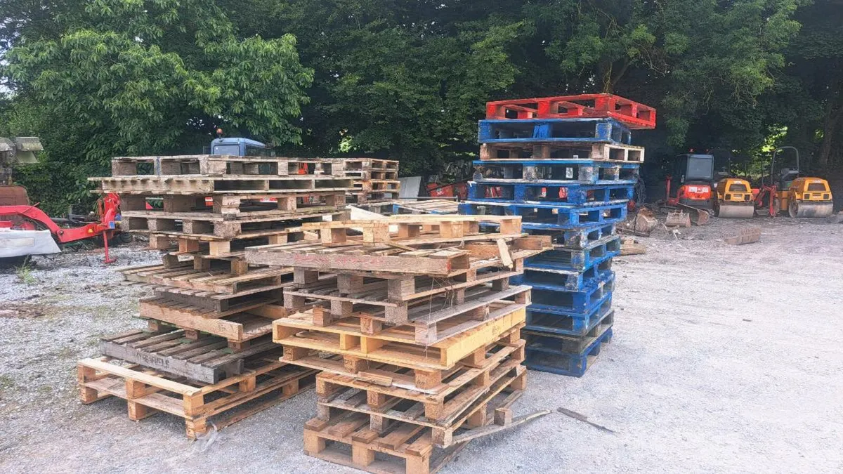 Free pallets and timber - Image 2