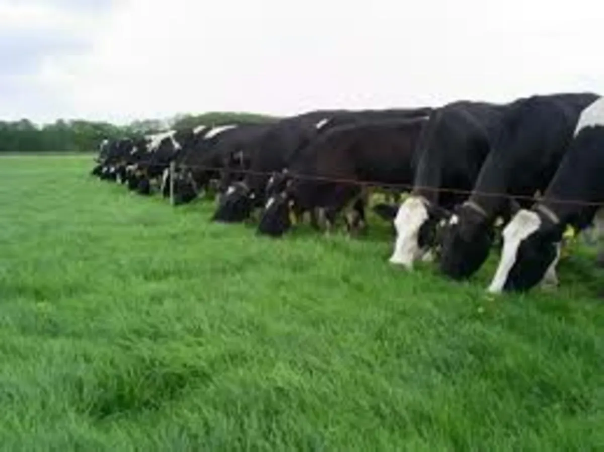 Grass Measuring-Soil Sampling-Farm Mapping - Image 1
