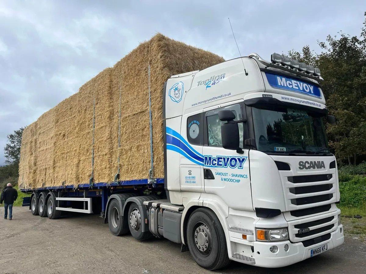 2025 Top Quality Chopped Barley/Wheat Straw - Image 1