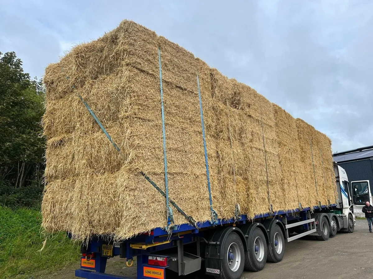 2025 Top Quality Chopped Barley/Wheat Straw - Image 2