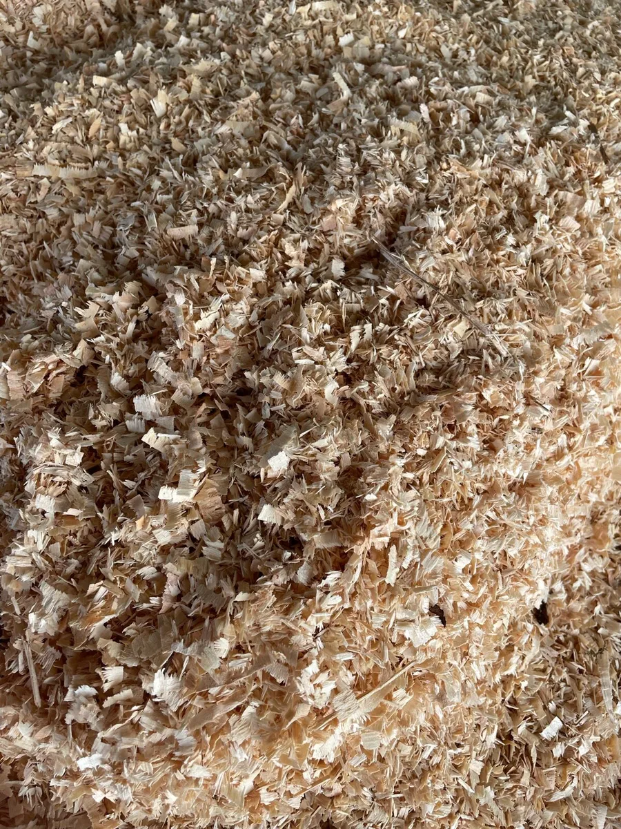 Saw Dust - Image 2