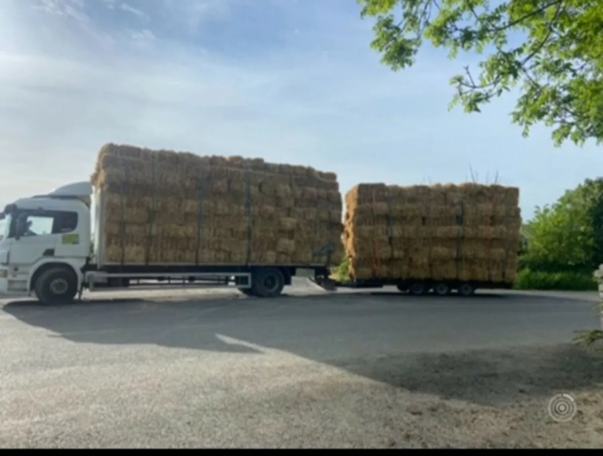 Hay and Straw - Image 2