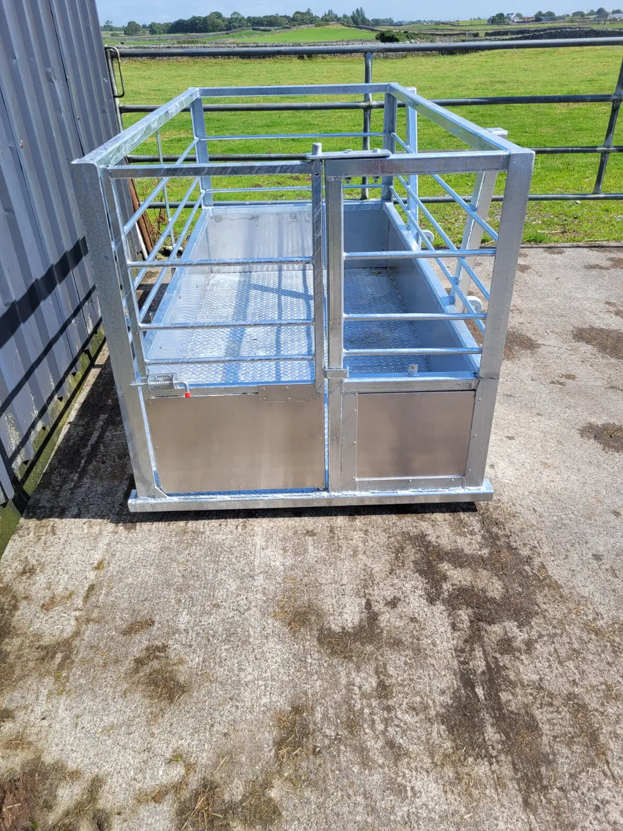 Safety cage/man cage. Livestock transporter. - Image 2