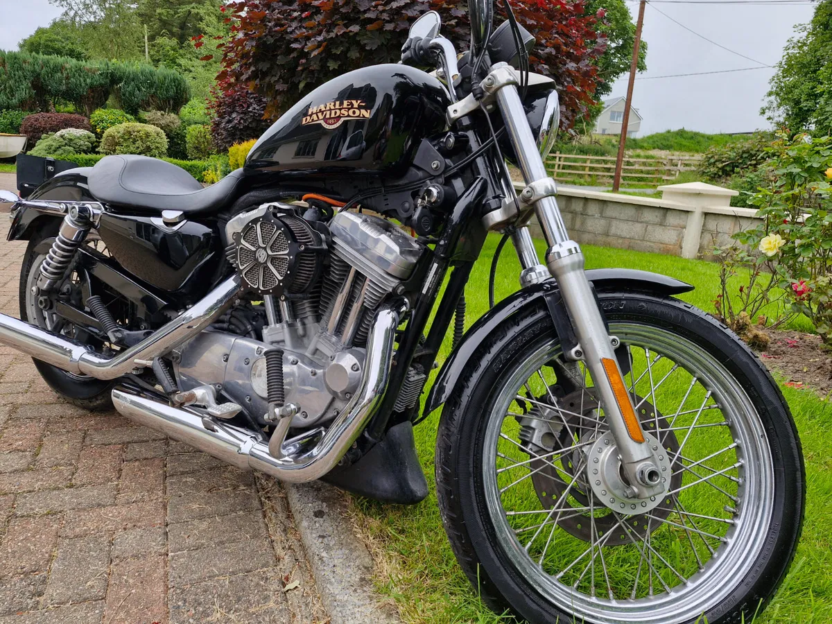 🦏 HARLEY DAVIDSON xl883L 2009.MINT.LOW MILAGE 🦏 - Image 3