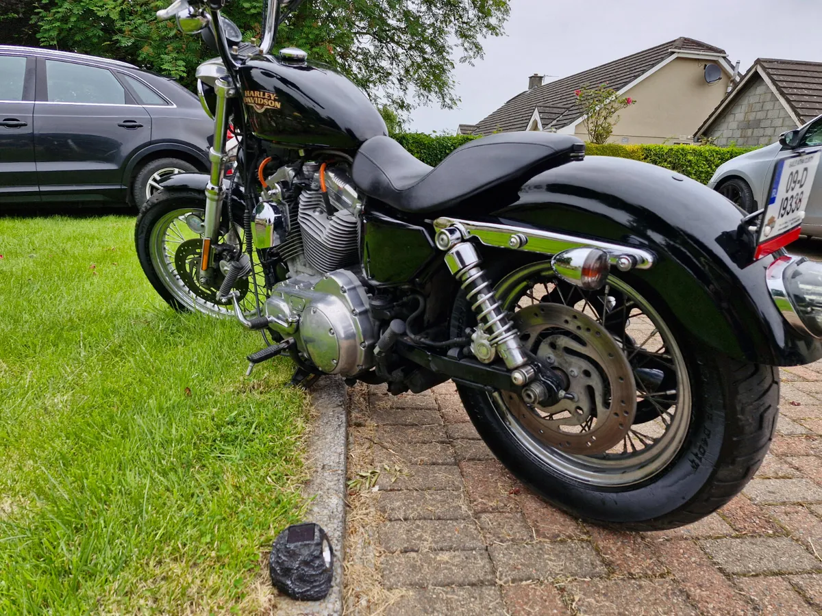 🦏 HARLEY DAVIDSON xl883L 2009.MINT.LOW MILAGE 🦏 - Image 2