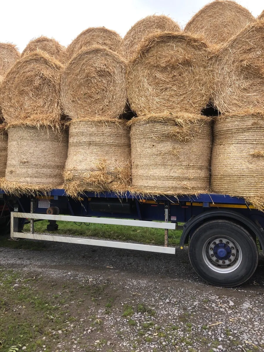TOP QUALITY HORSE HAY + STRAW - Image 2