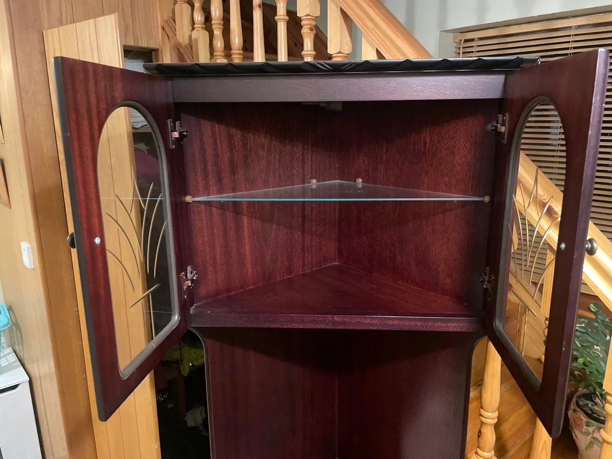 Antique Cabinet TV Stand - Image 3
