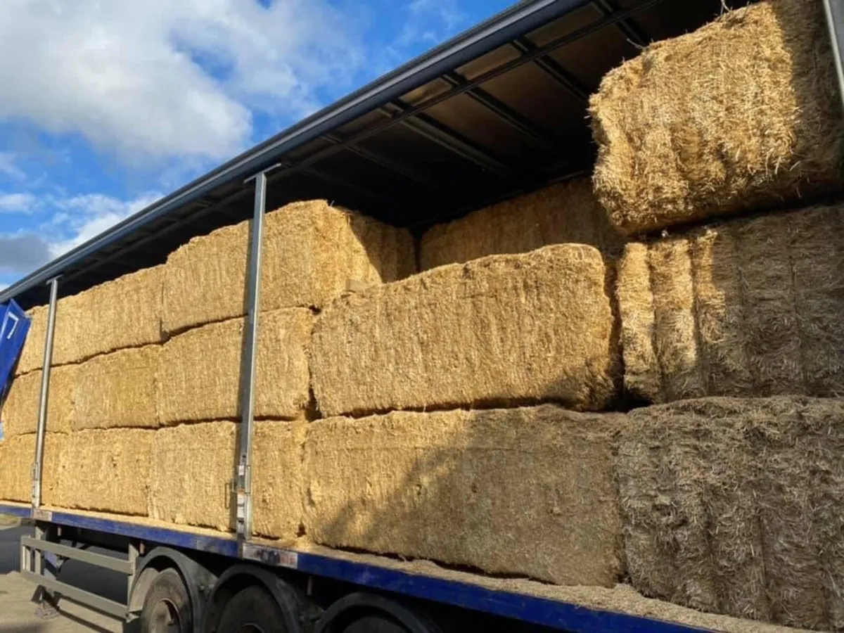 Top Quality Fine Chopped Wheat Straw Delivered - Image 1