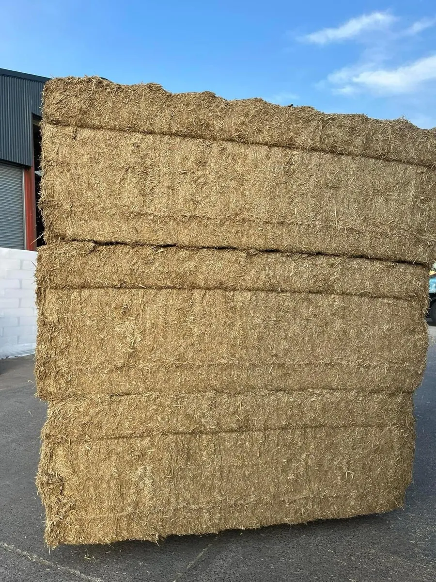 Top Quality Fine Chopped Wheat Straw Delivered - Image 2