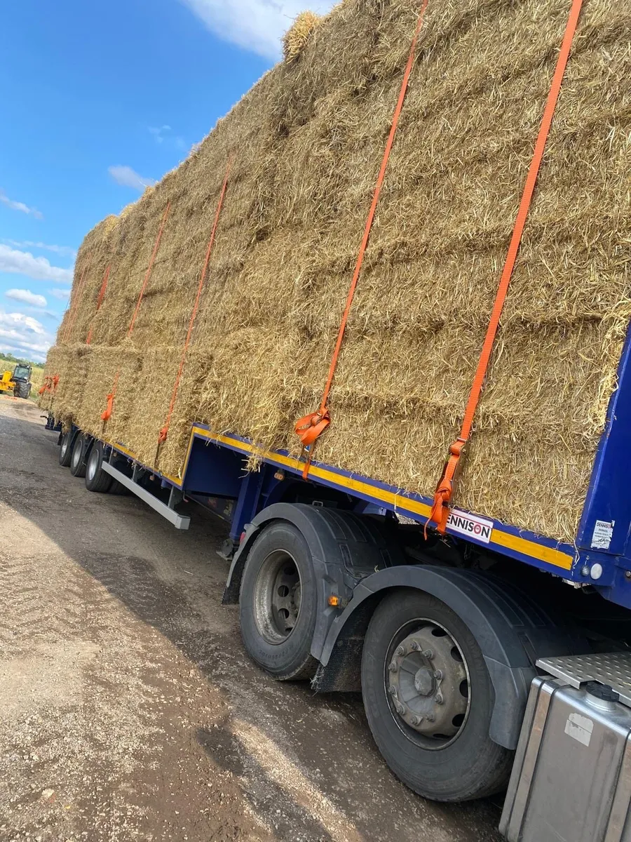 Wanted 8x4x3s of barley straw cash waiting