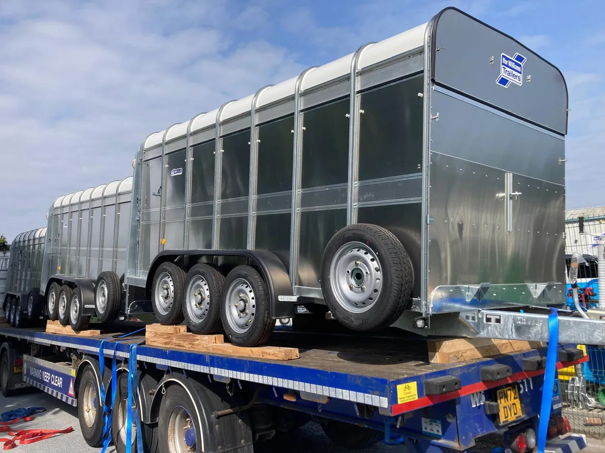 NEW Ifor Williams TA510 14ft Trailer IN STOCK