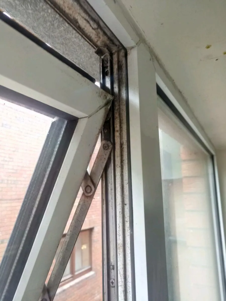 Window and door repairs - Image 2