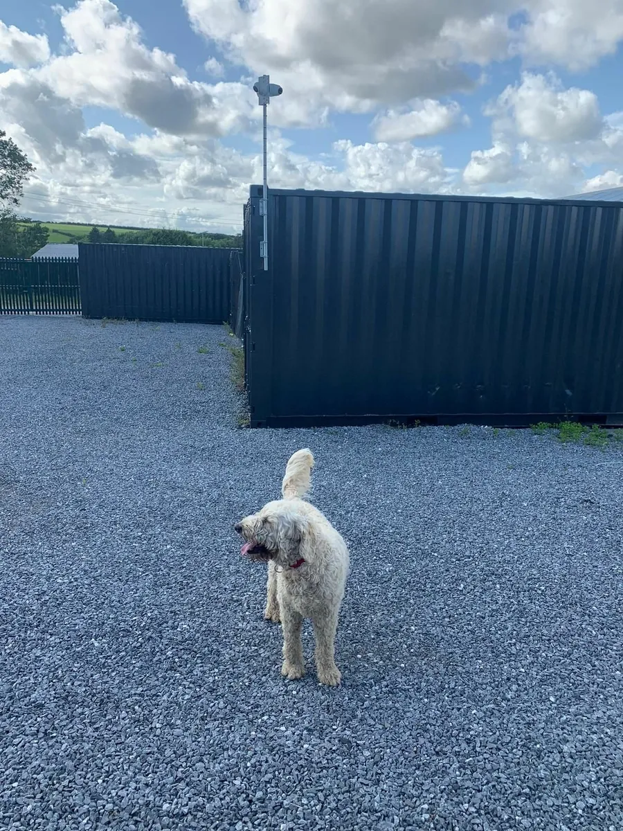 Container Storage Carrigaline Cork - Image 3