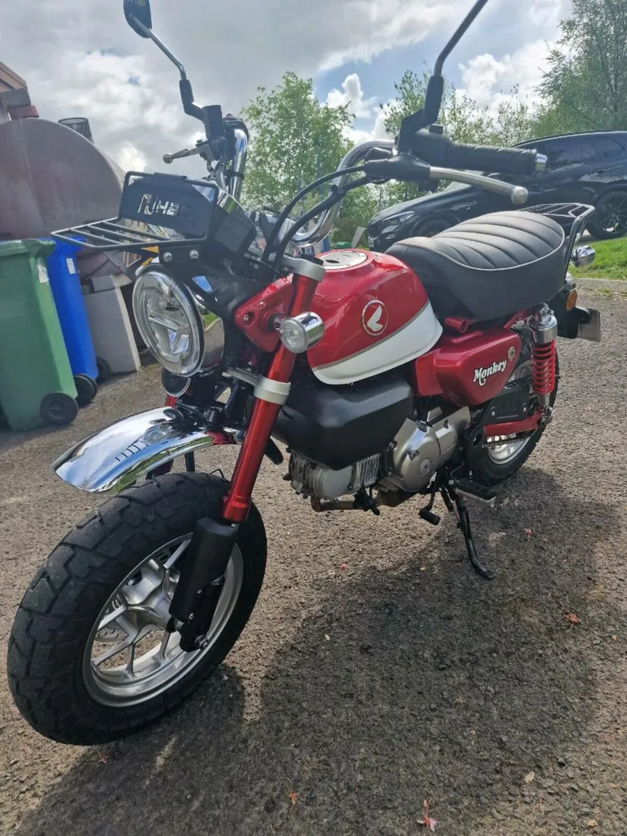 Z125 Honda Monkey - Image 1