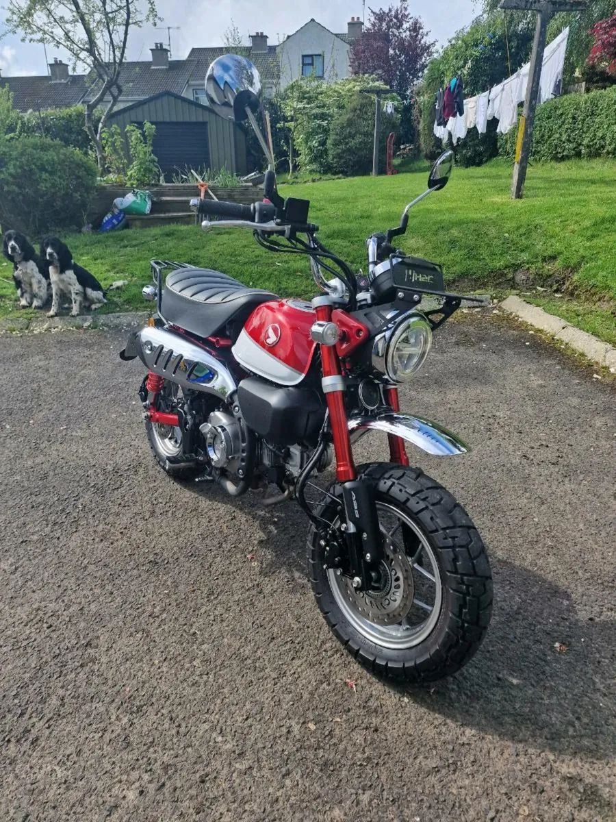 Z125 Honda Monkey - Image 2