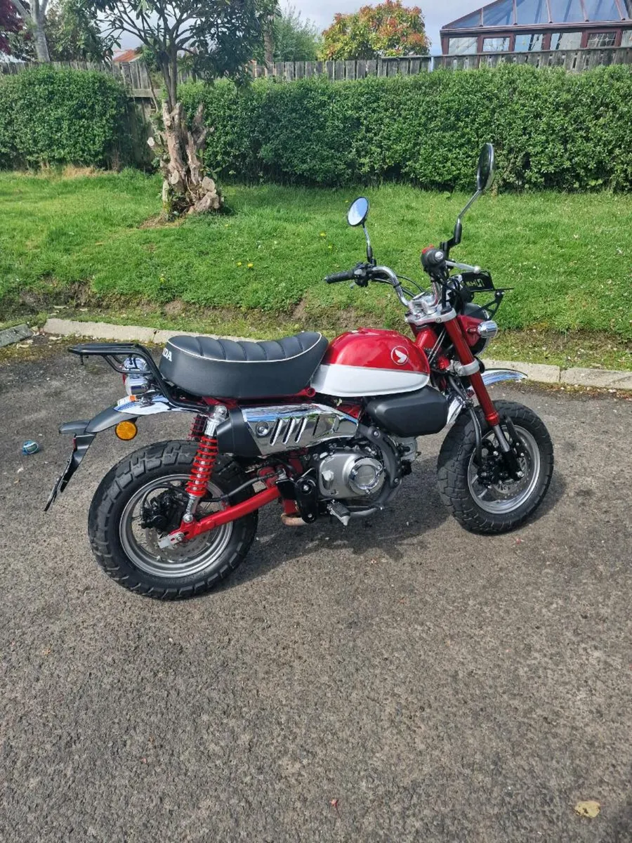 Z125 Honda Monkey - Image 3