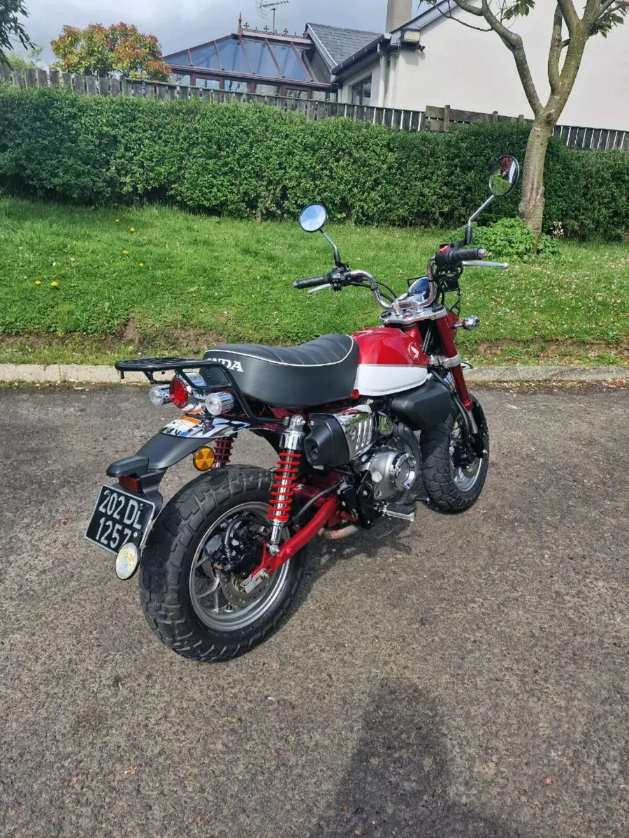 Z125 Honda Monkey - Image 4