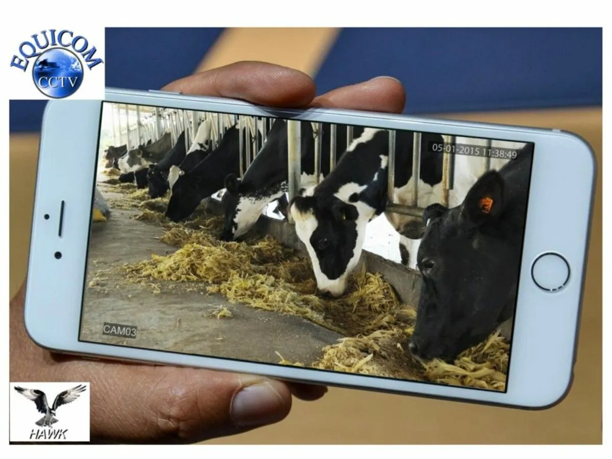 Calving Camera & Security