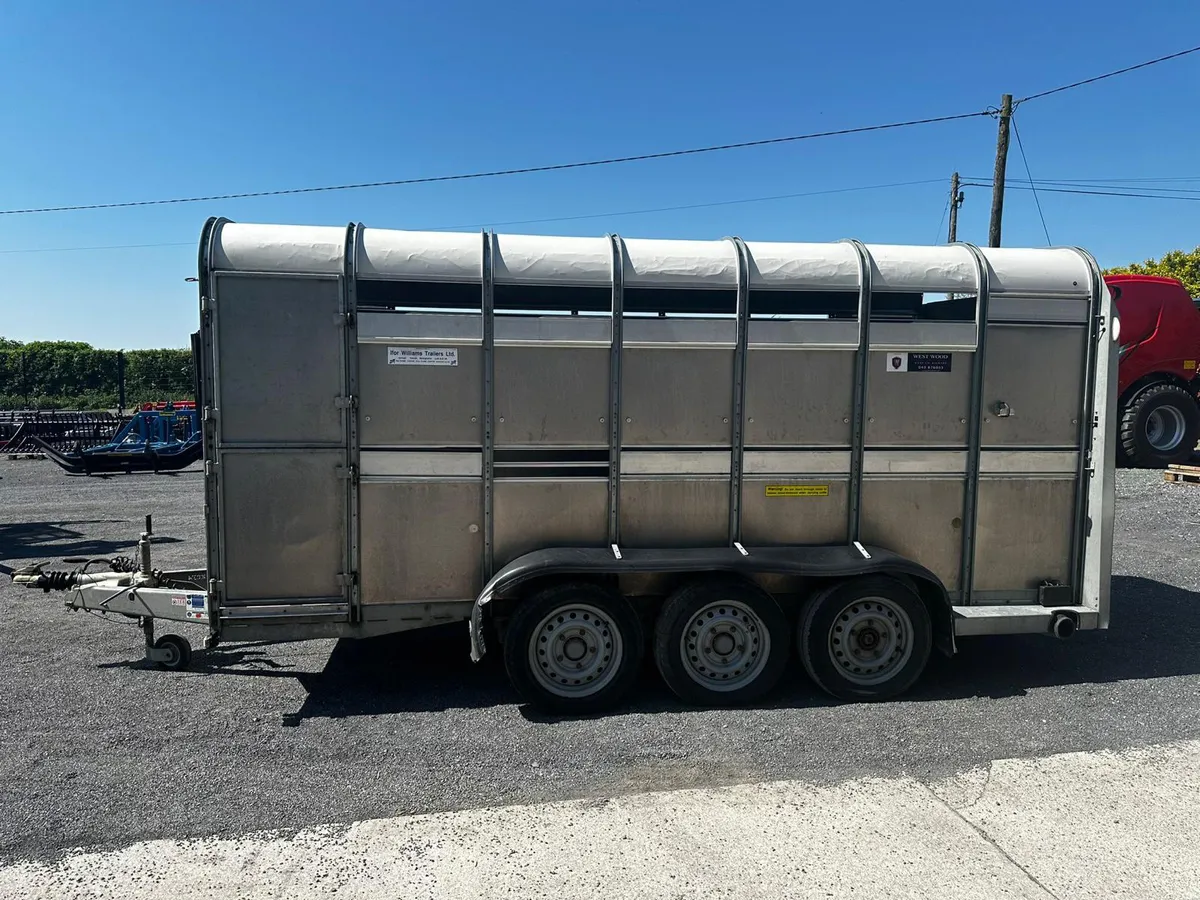 Ifor Williams 14ft cattle trailer - Image 4