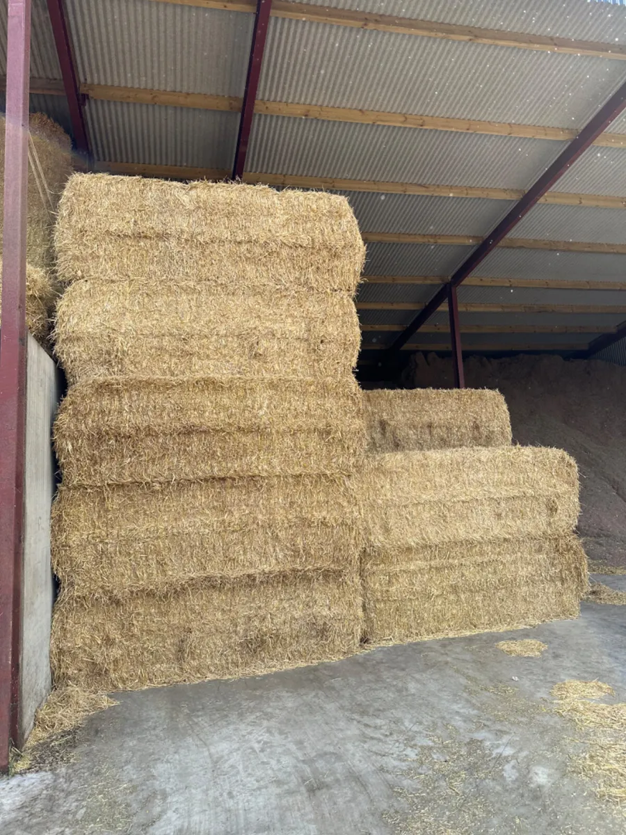 Straw - Image 2