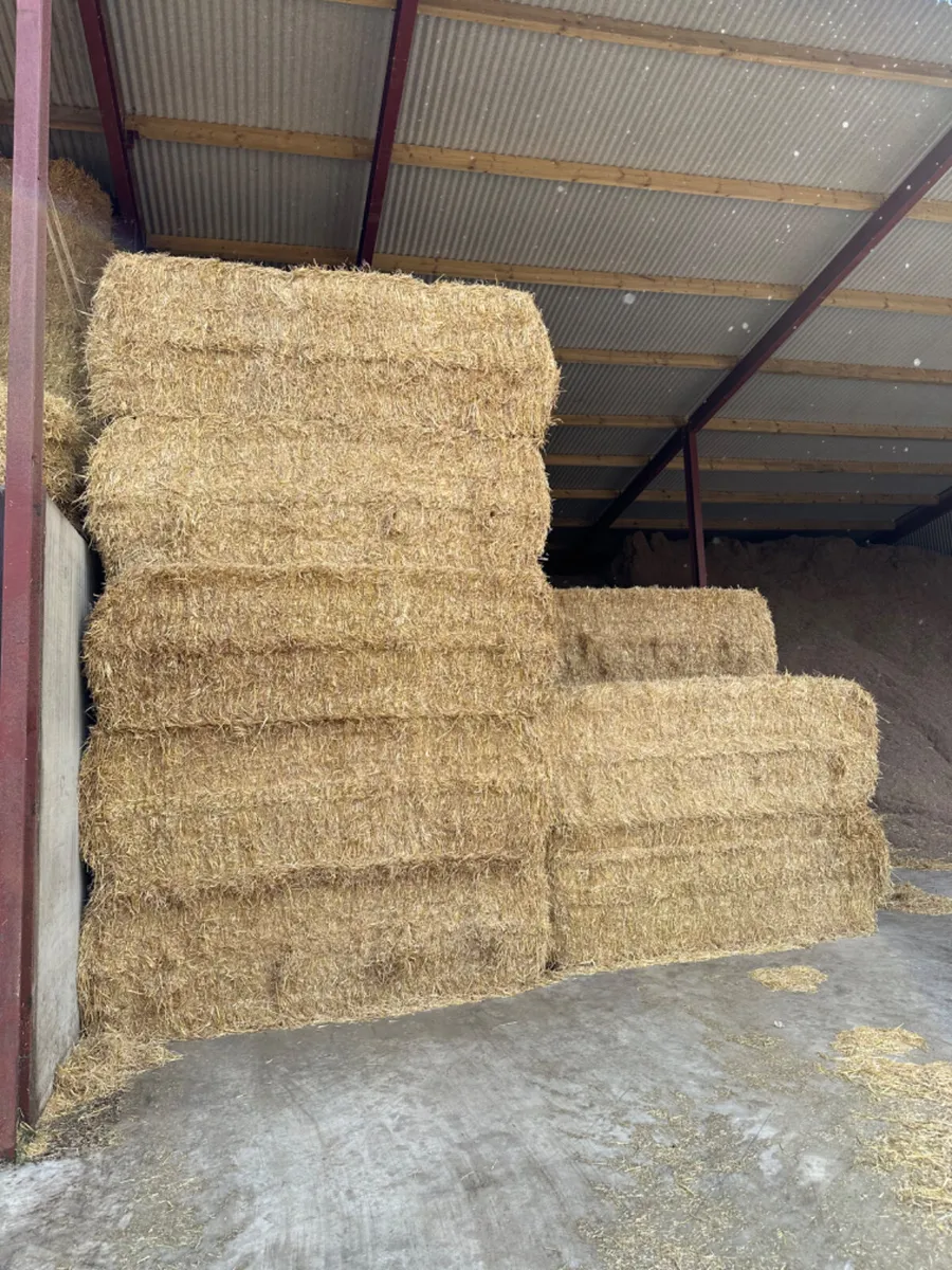 Straw - Image 4