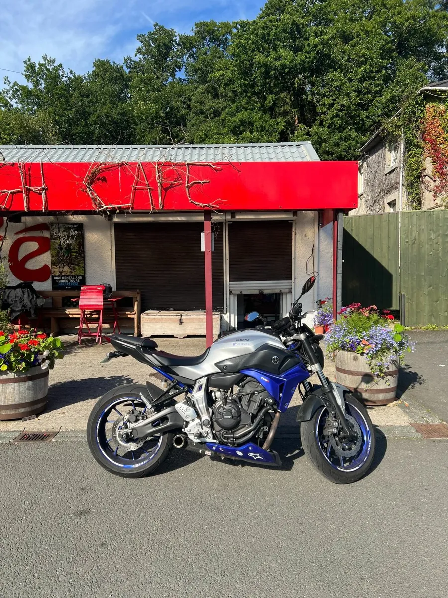 all yamaha mt models