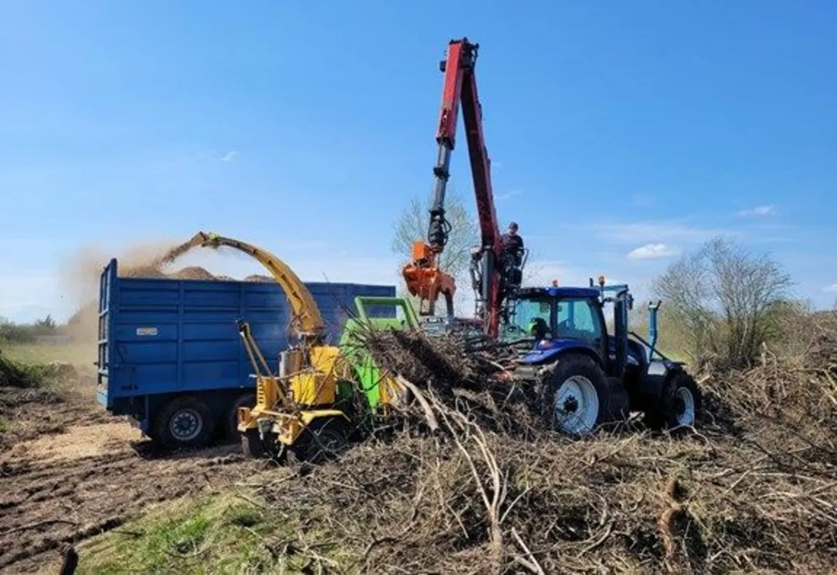 woodchiping /stump grinding /saw work/tree surgery - Image 1