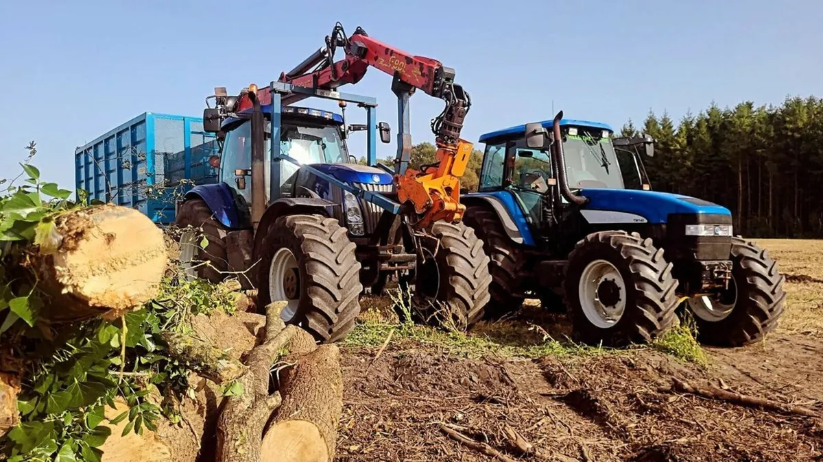 woodchiping /stump grinding /saw work/tree surgery - Image 3