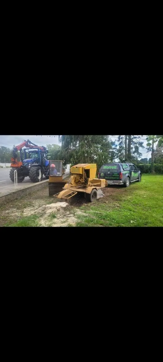 woodchiping /stump grinding /saw work/tree surgery - Image 4