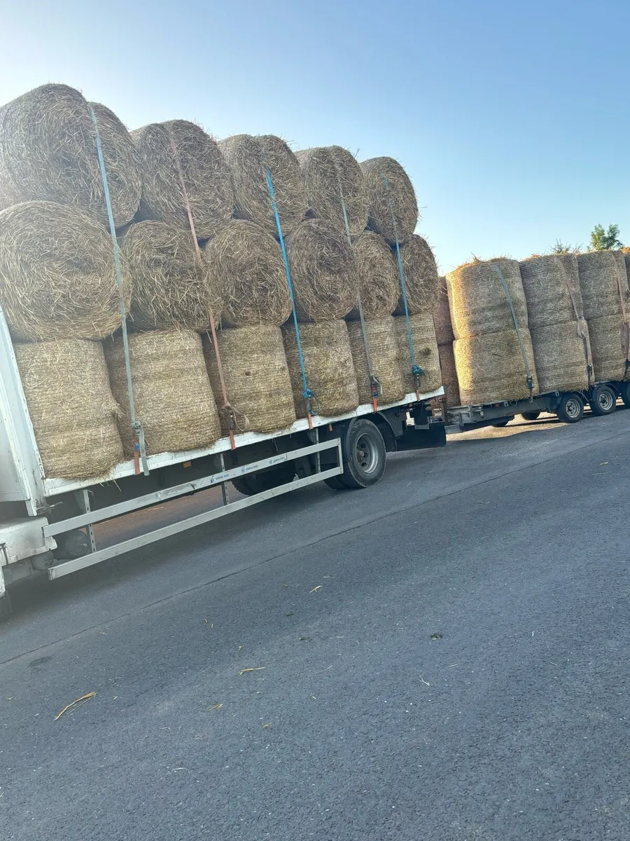 Hay and Straw - Image 1