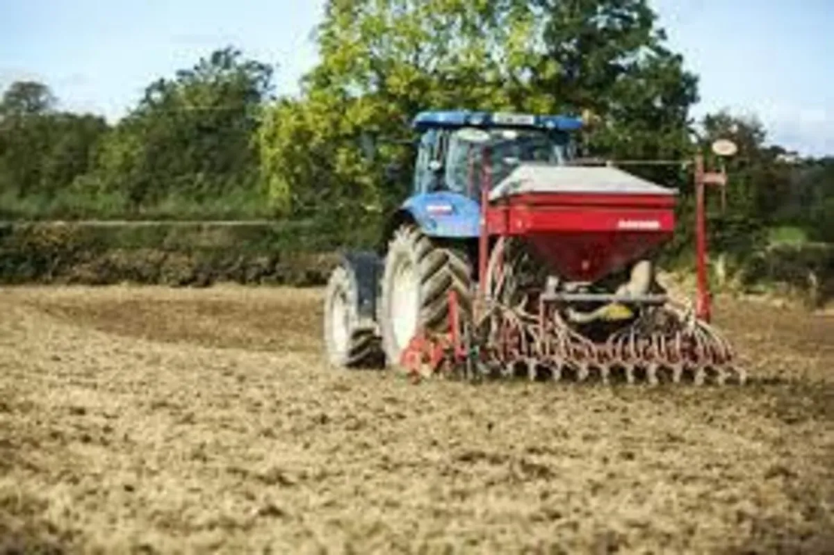 Important TIPS for Reseeding - Image 1