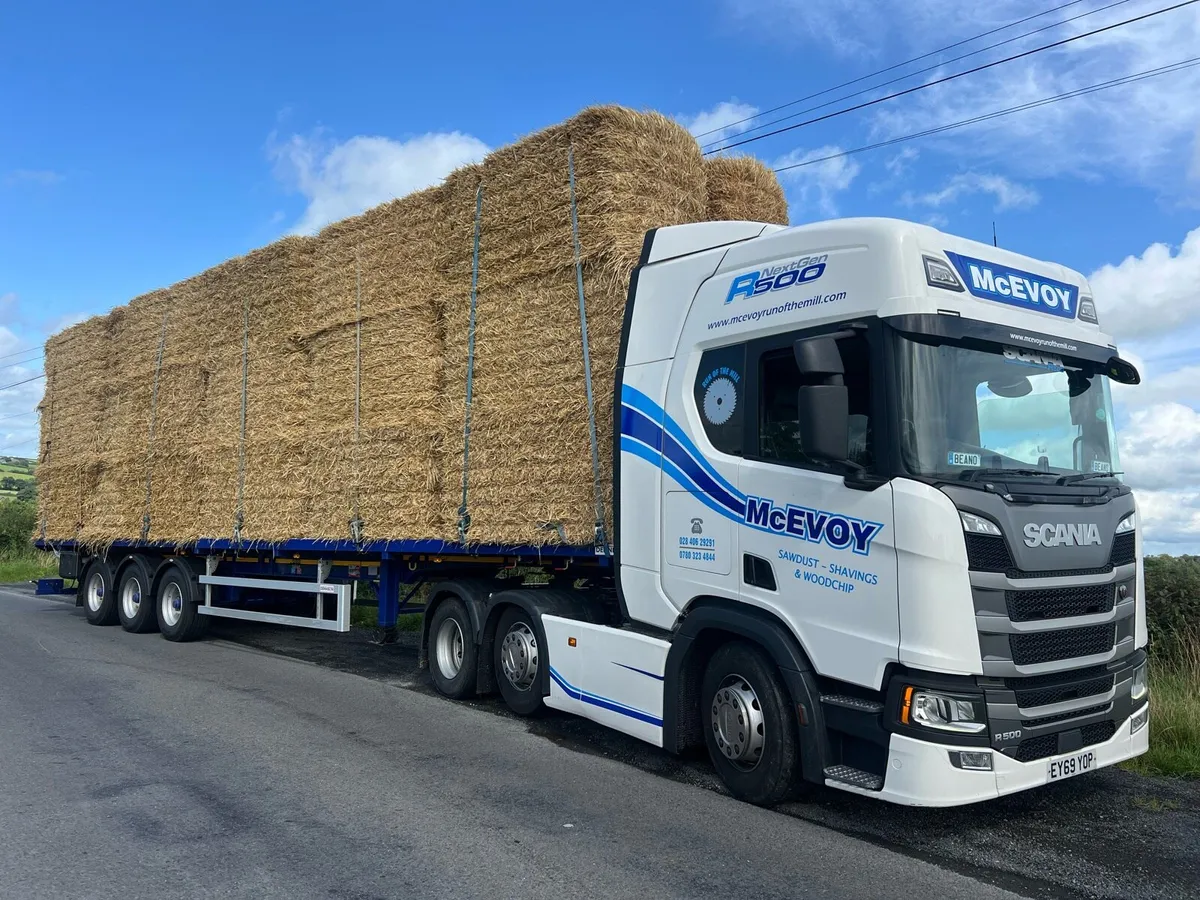 Top Quality Wheat Straw Delivered Big Square Bales - Image 1