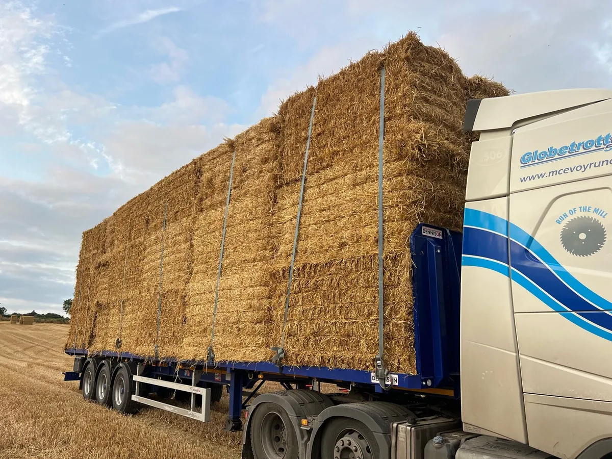 Top Quality Wheat Straw Delivered Big Square Bales - Image 2