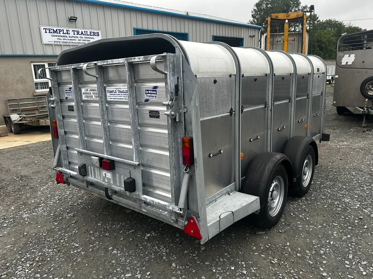 Ifor Williams 10x5 Low Roof - Image 2