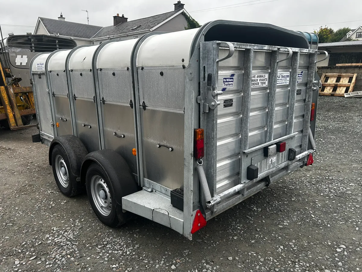 Ifor Williams 10x5 Low Roof - Image 3