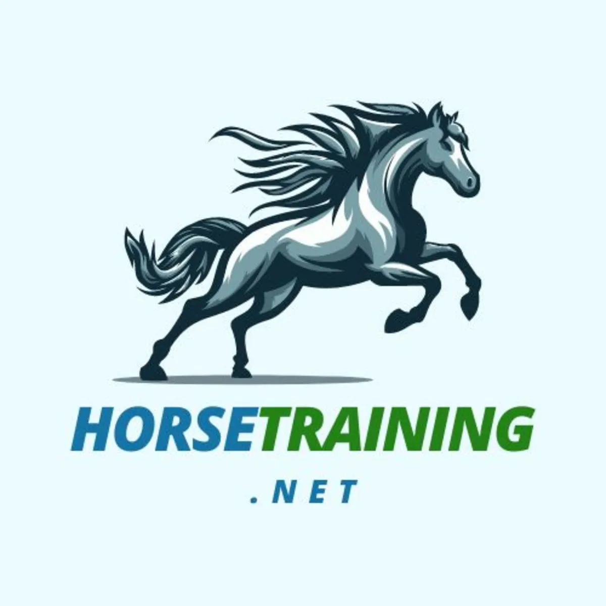 HorseTraining.net Premium Domain Name - Image 1