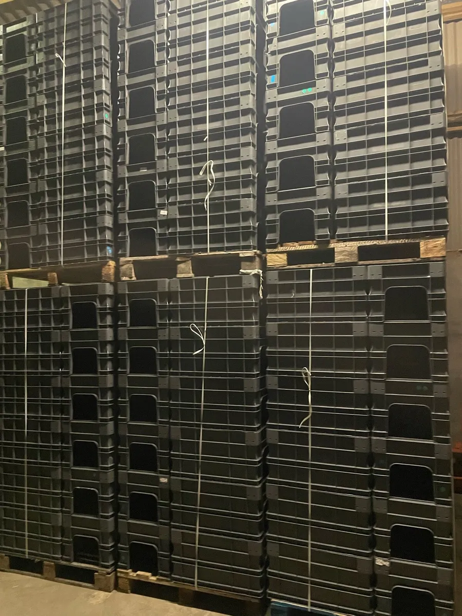 Storage Euro containers/ Pick Bins. - Image 1