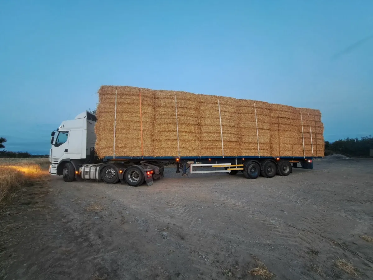 For sale golden barley straw ex yard or delivered - Image 1
