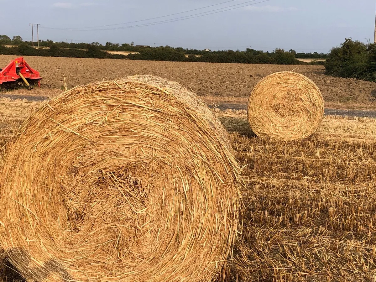 Hay for sale in Co. Dublin for €123 on DoneDeal