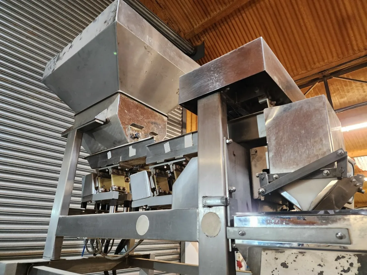 Automatic Linear Weighing Machine - Image 2