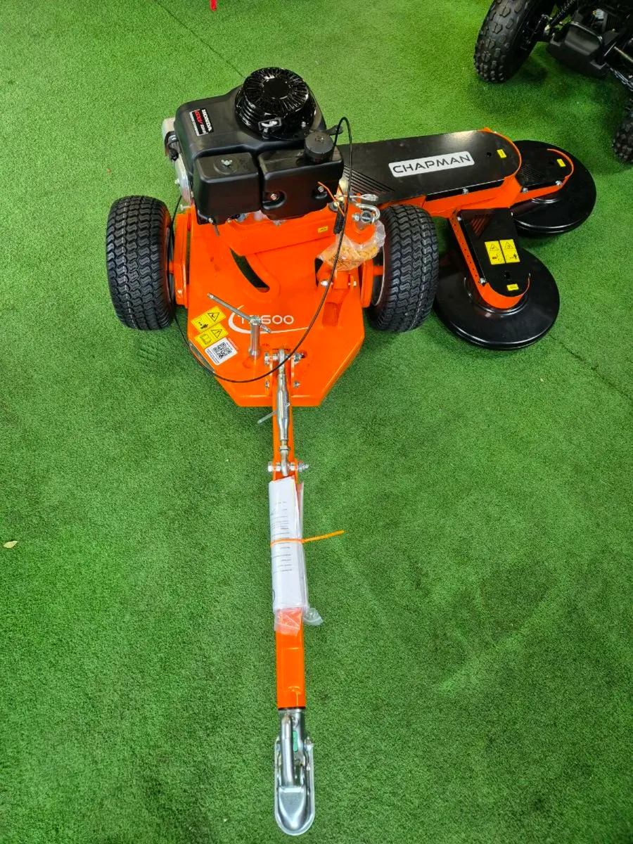 Chapman TS600 strimmer - Image 2