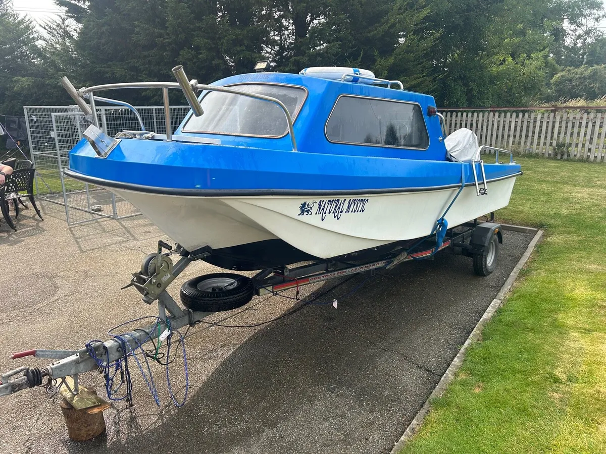 16.5ft Boat & Trailer - Image 1