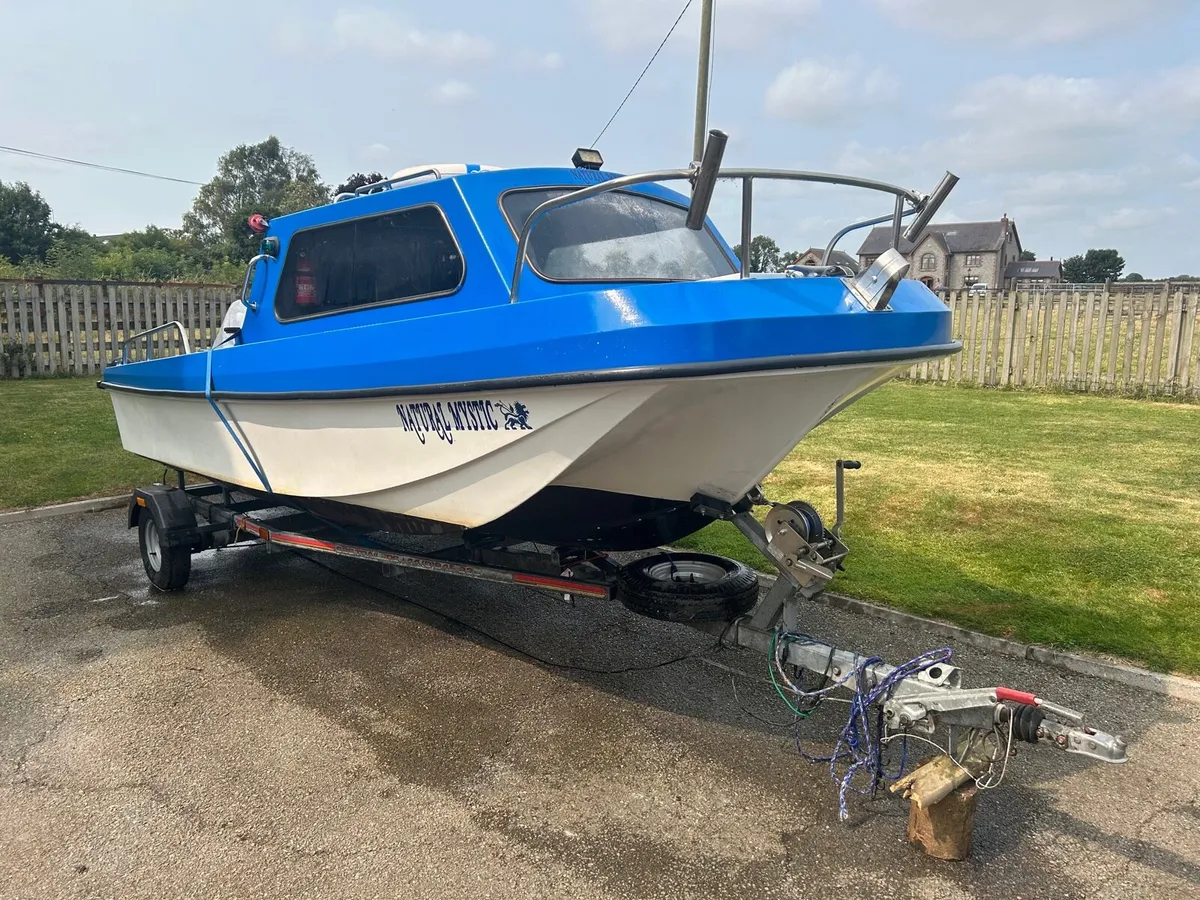 16.5ft Boat & Trailer - Image 2