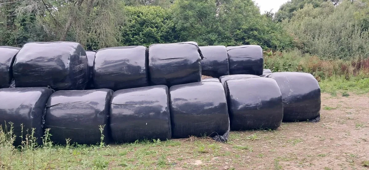 Bale silage - Image 1