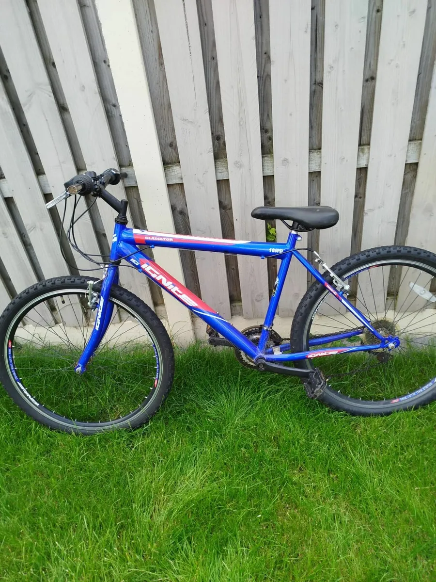 frame size 19 bike